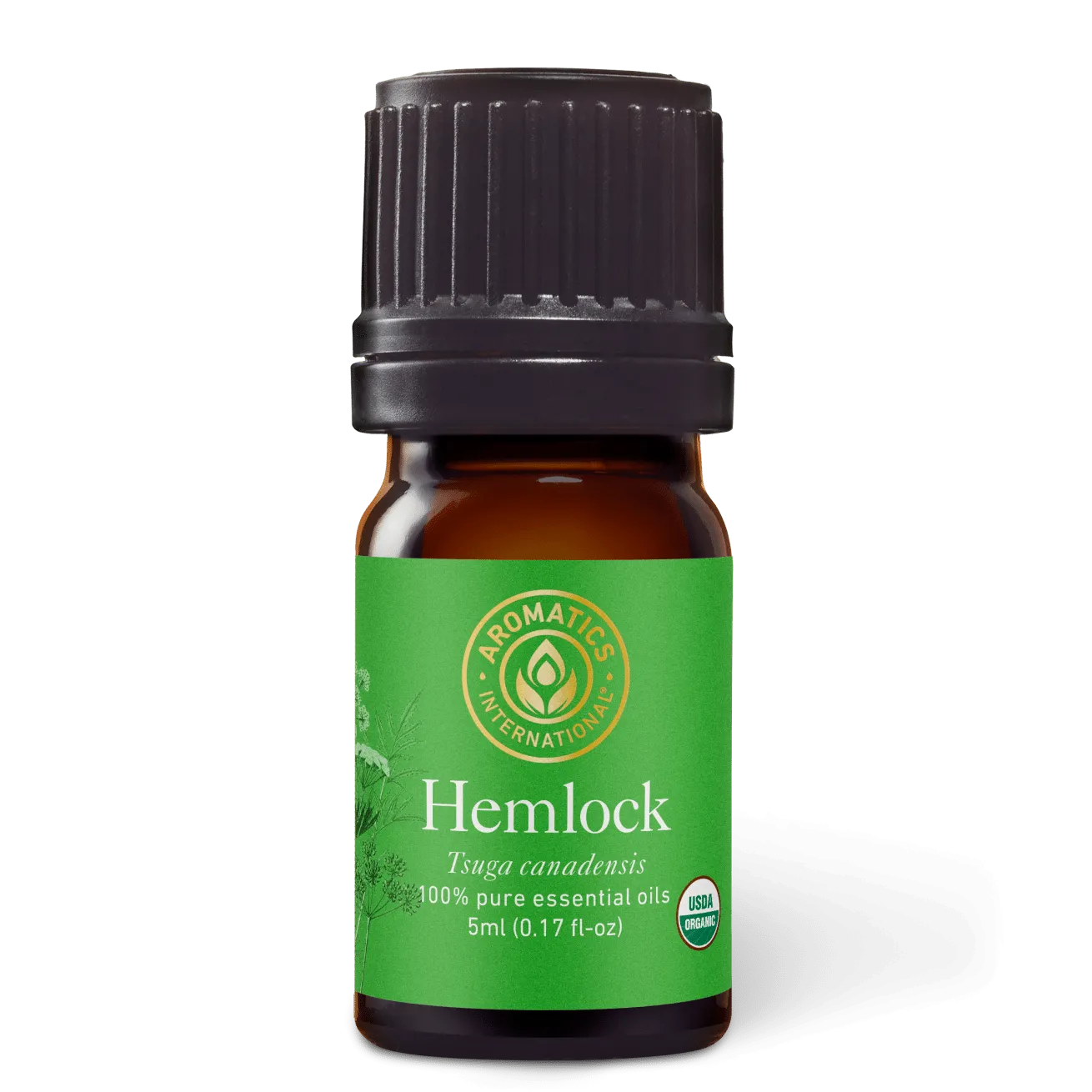 Hemlock Essential Oil