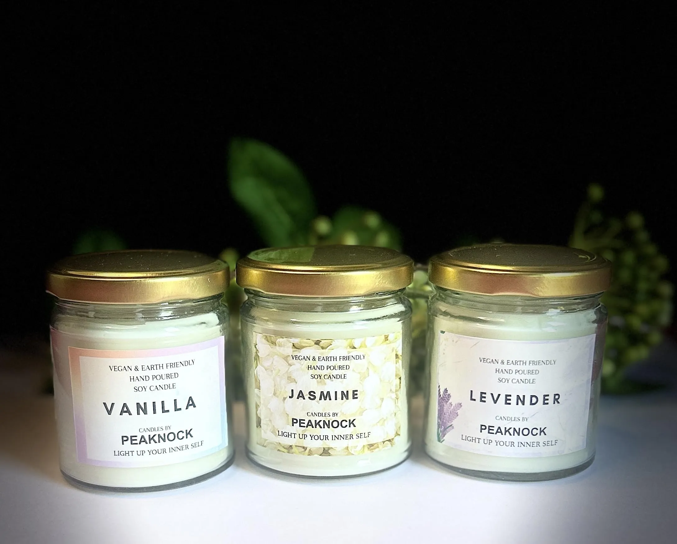 PEAKNOCK Scented Candles for Home Decor | 200ML Big Size Jar High Fragrance Candles for Bedroom | Candles for Gifting | Combo Pack | (Vanilla-Jasmine-levender)