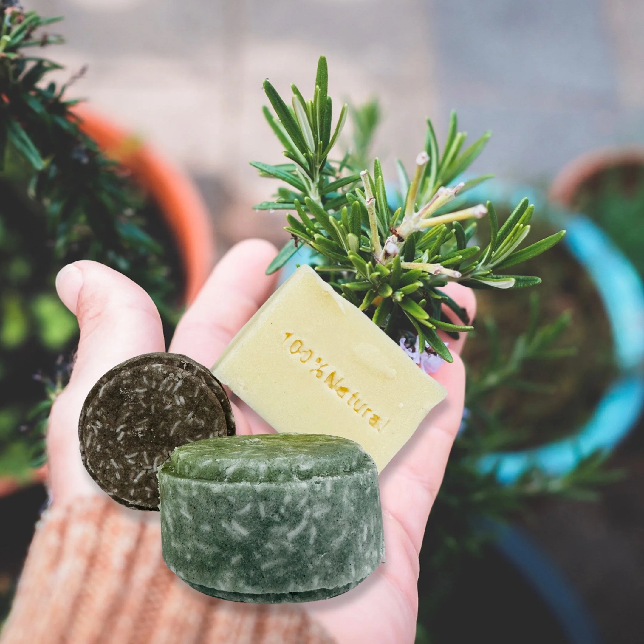 Shampoo Bar-Conditioning Rosemary