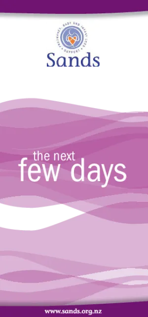 The Next Few Days - HE2318
