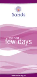 The Next Few Days - HE2318